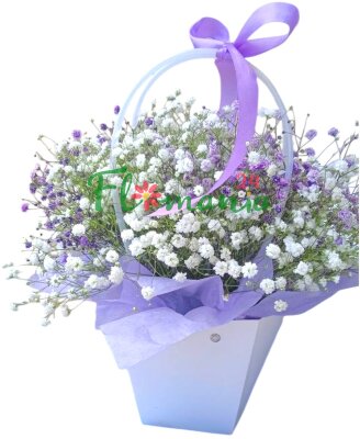 Подарок от бабочки